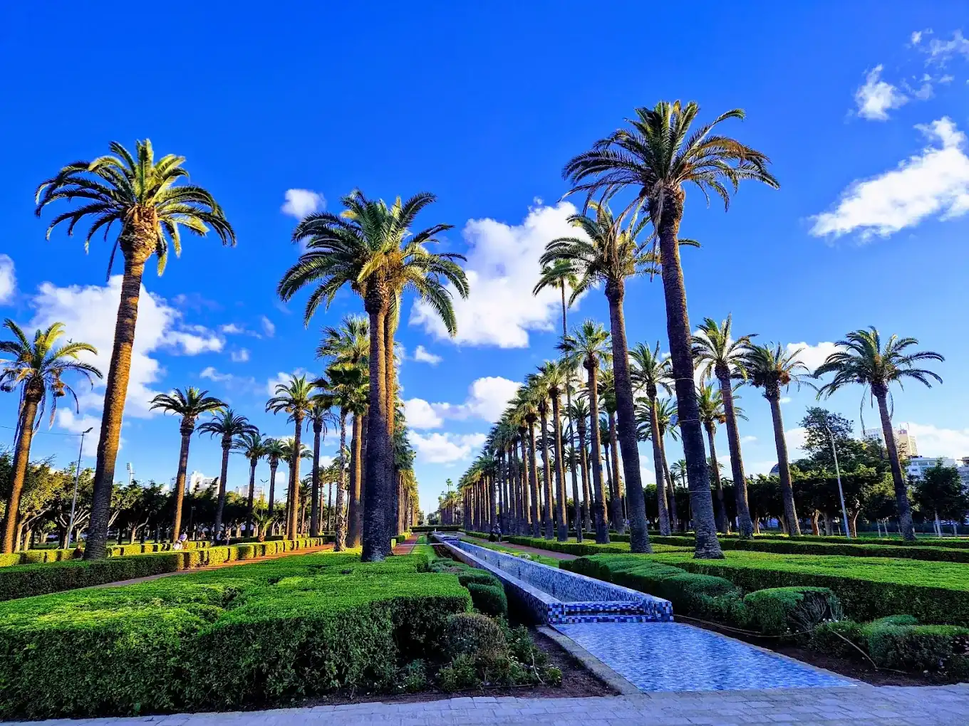 Bassin bleu entre haies taillées et palmiers au parc de la Ligue arabe