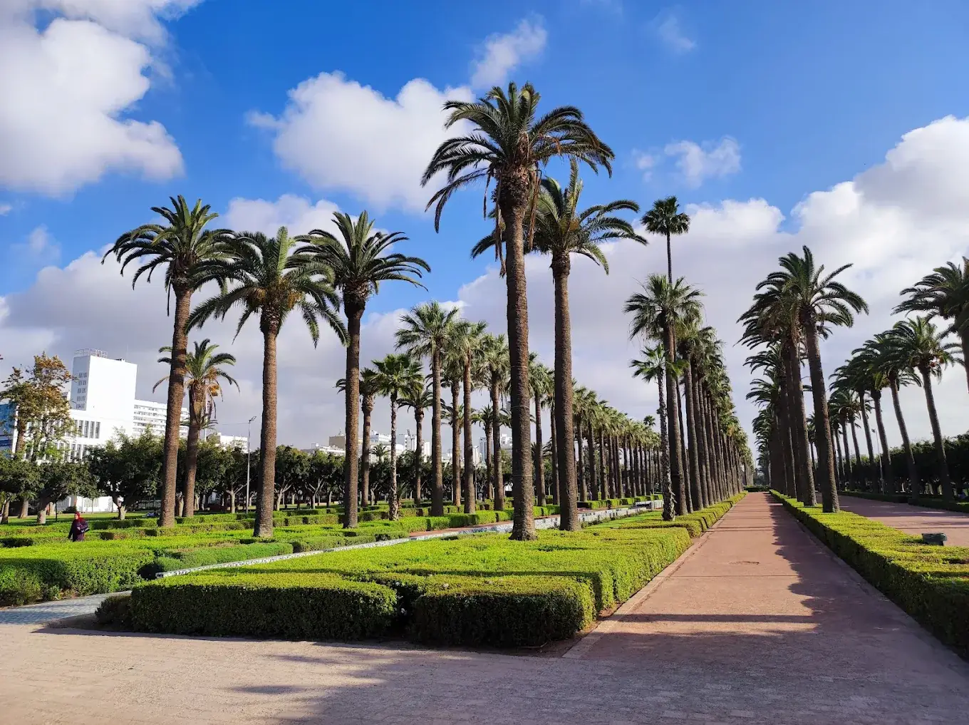 Allée piétonne bordée de haies et de palmiers au parc de la Ligue arabe