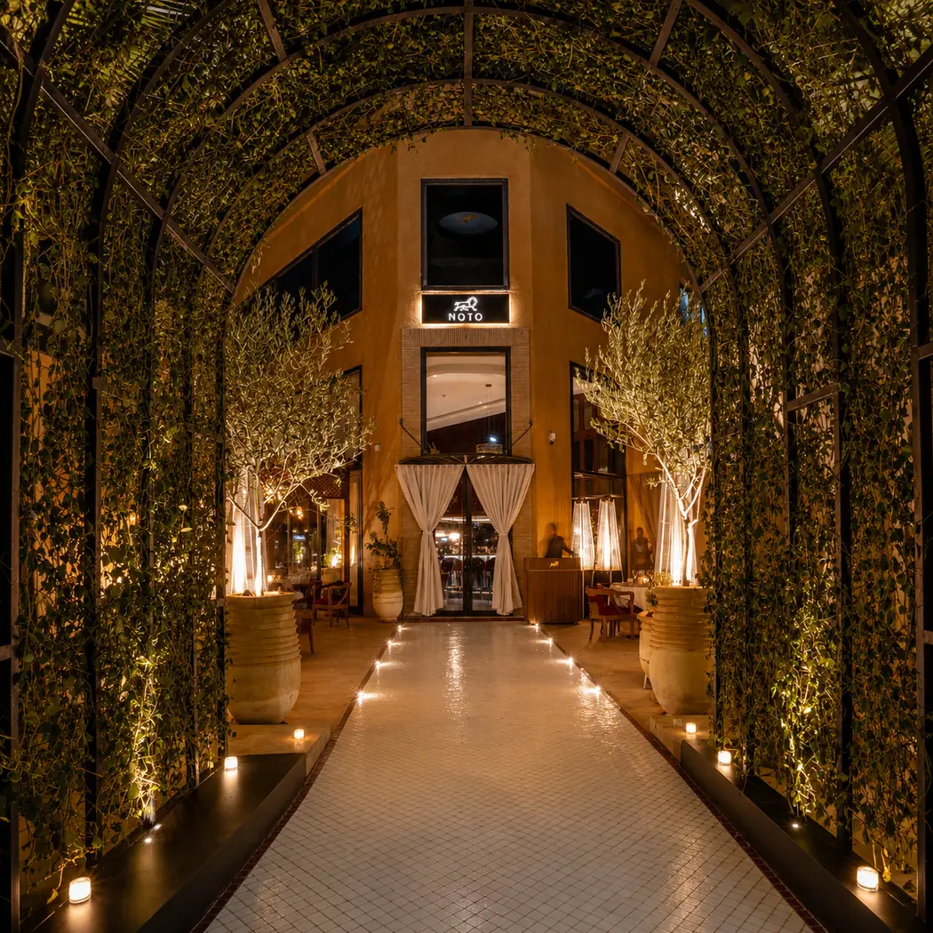 Noto à Marrakech : allée végétale éclairée de bougies menant à l'entrée du restaurant